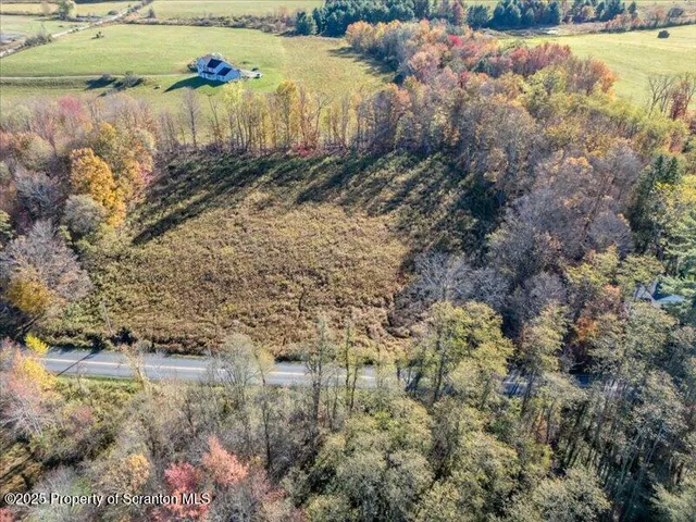 a backyard of a building with lots of trees