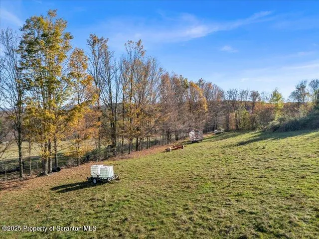 a view of a yard with trees