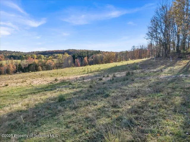 a view of an outdoor space and a yard