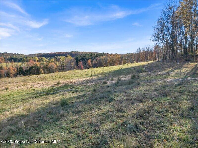 Marshbrook Road Factoryville, PA 18419 - Photo 7 of 34 a view of an outdoor space and a yard