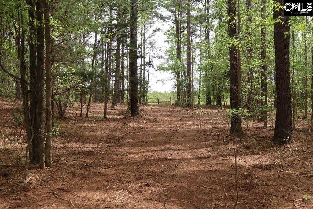 Beulah Road Leesville, SC 29070 - Photo 14 of 19