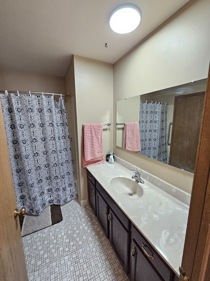 1529 Lighthouse Drive Naperville, IL 60565 - Photo 16 of 21 a bathroom with a sink and a mirror