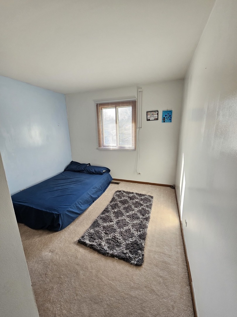 1529 Lighthouse Drive Naperville, IL 60565 - Photo 17 of 21