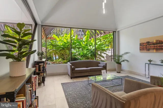 a view of a garden with a pathway