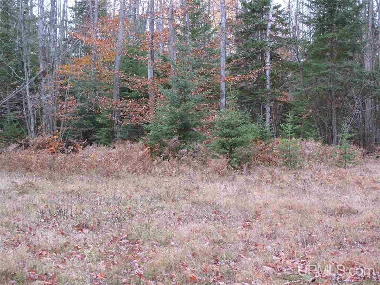 22405 Webb Road Grand Marais, MI 49839 - Photo 3 of 32 Gallery Image 3