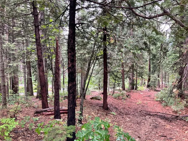 $49,000 | 1526 Seminole Way, Arnold, CA 95223