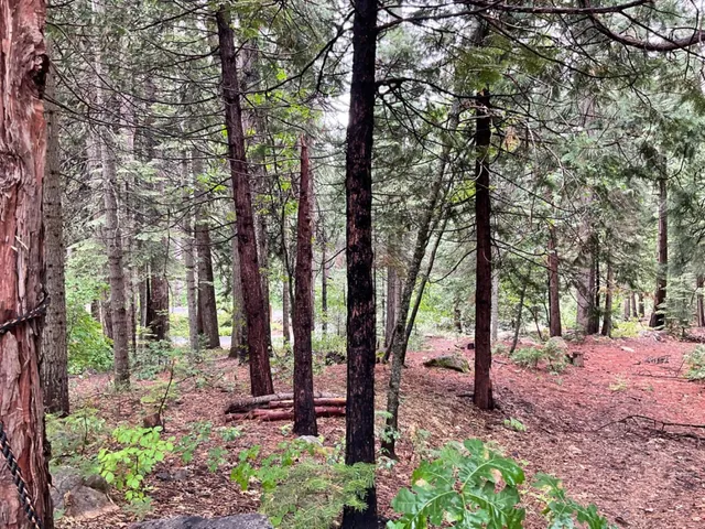 $49,000 | 1526 Seminole Way, Arnold, CA 95223