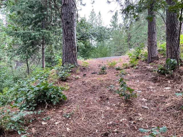 $49,000 | 1526 Seminole Way, Arnold, CA 95223