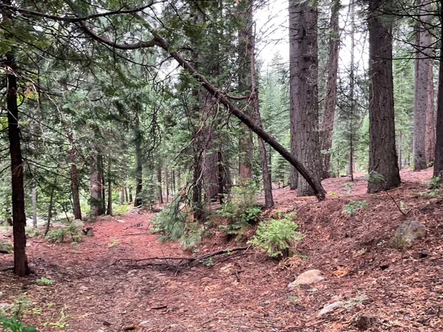 $49,000 | 1526 Seminole Way, Arnold, CA 95223