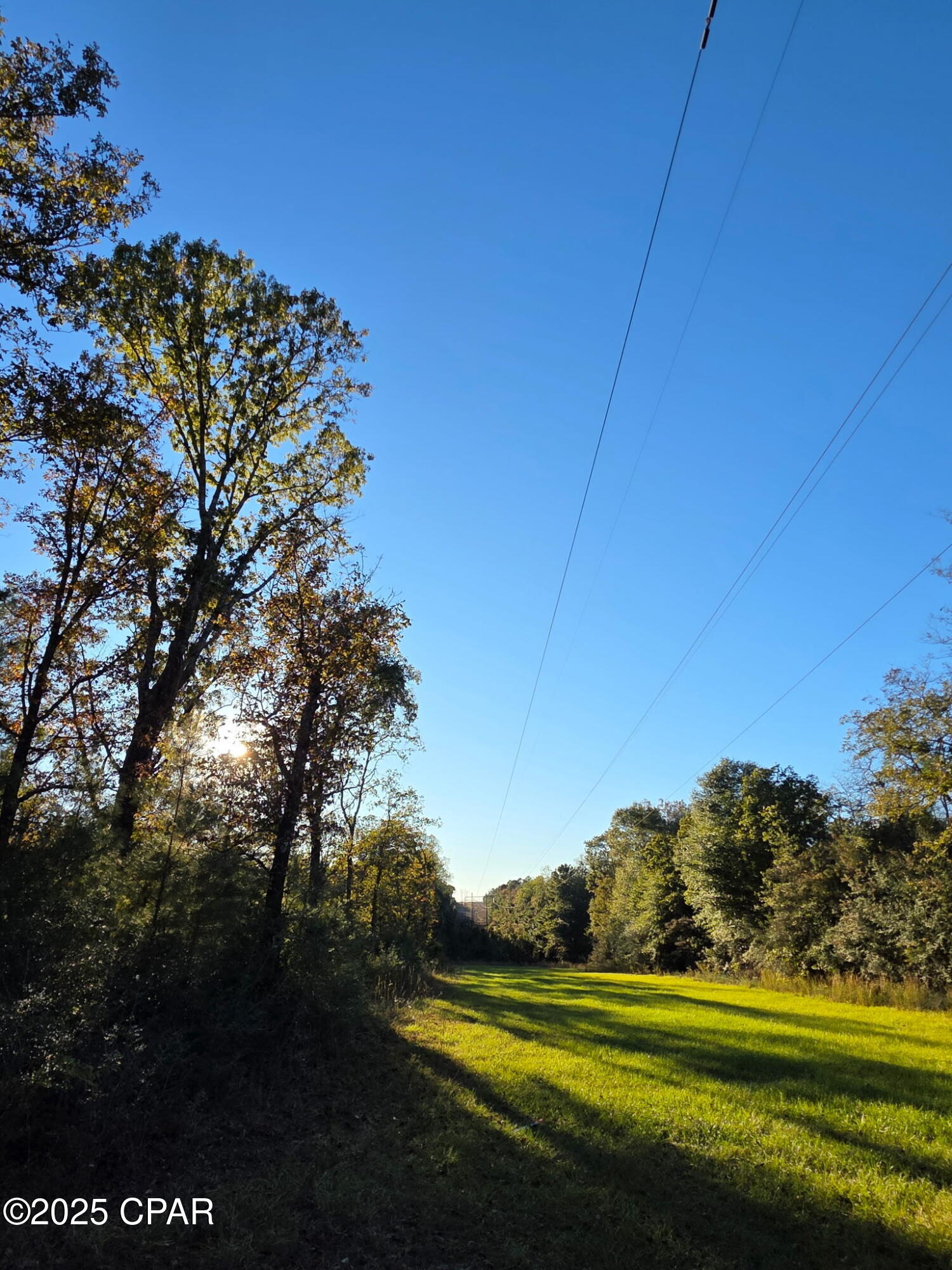 2785 Otter Pond Road Westville, FL 32464 - Photo 11 of 14