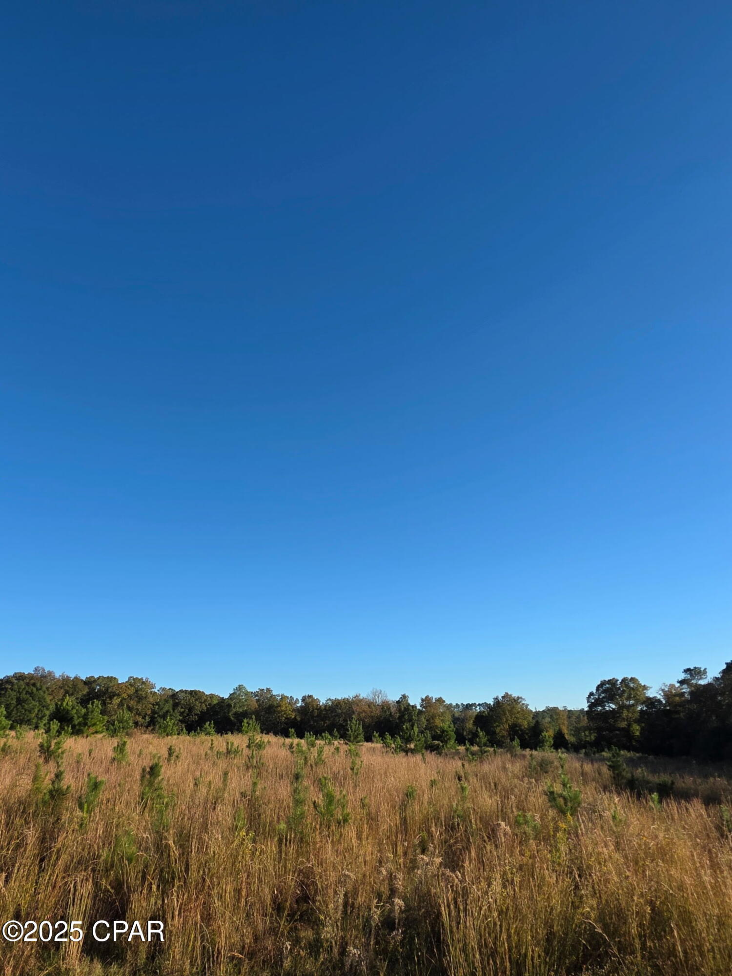 2785 Otter Pond Road Westville, FL 32464 - Photo 14 of 14