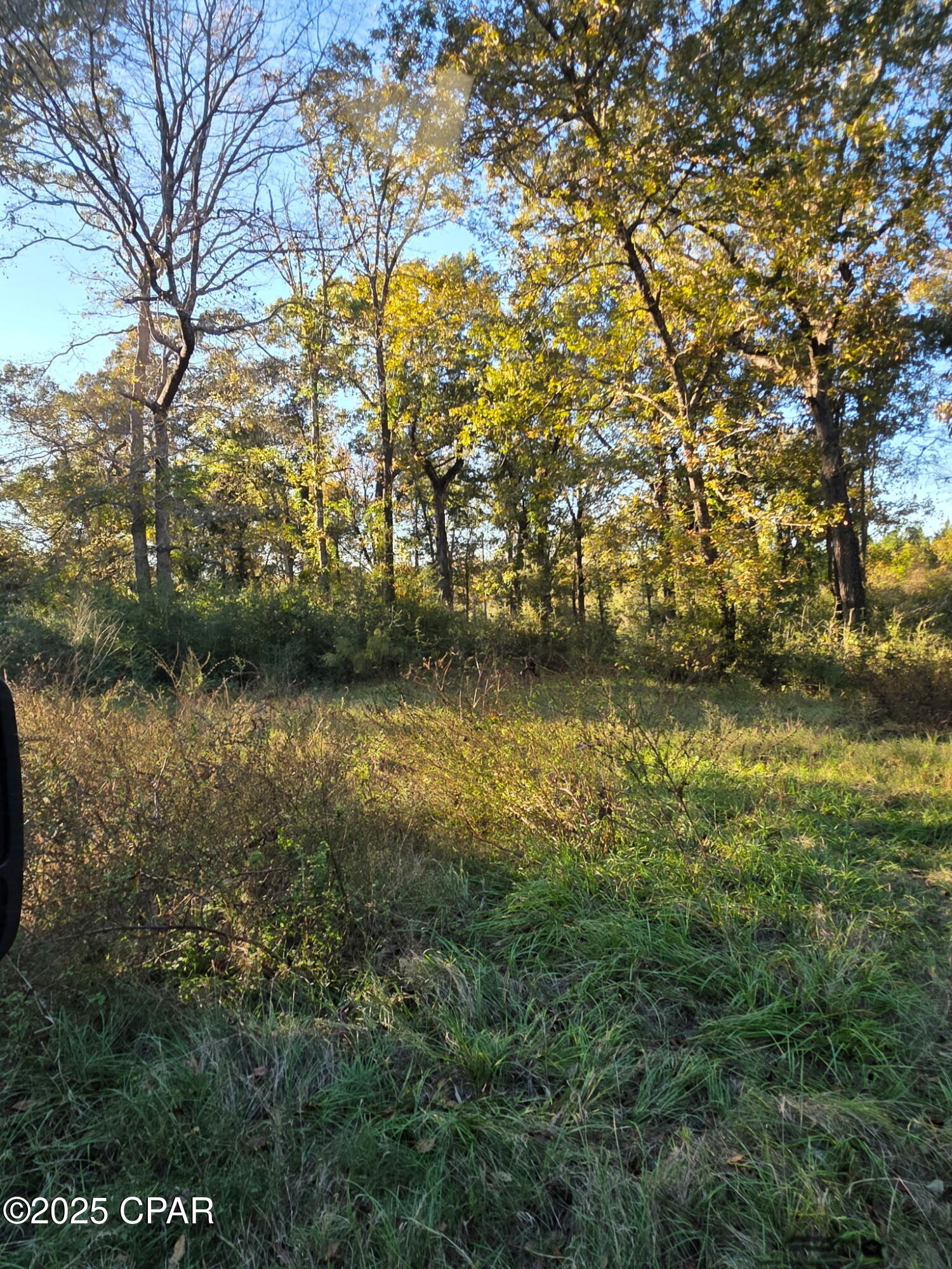 2785 Otter Pond Road Westville, FL 32464 - Photo 2 of 14