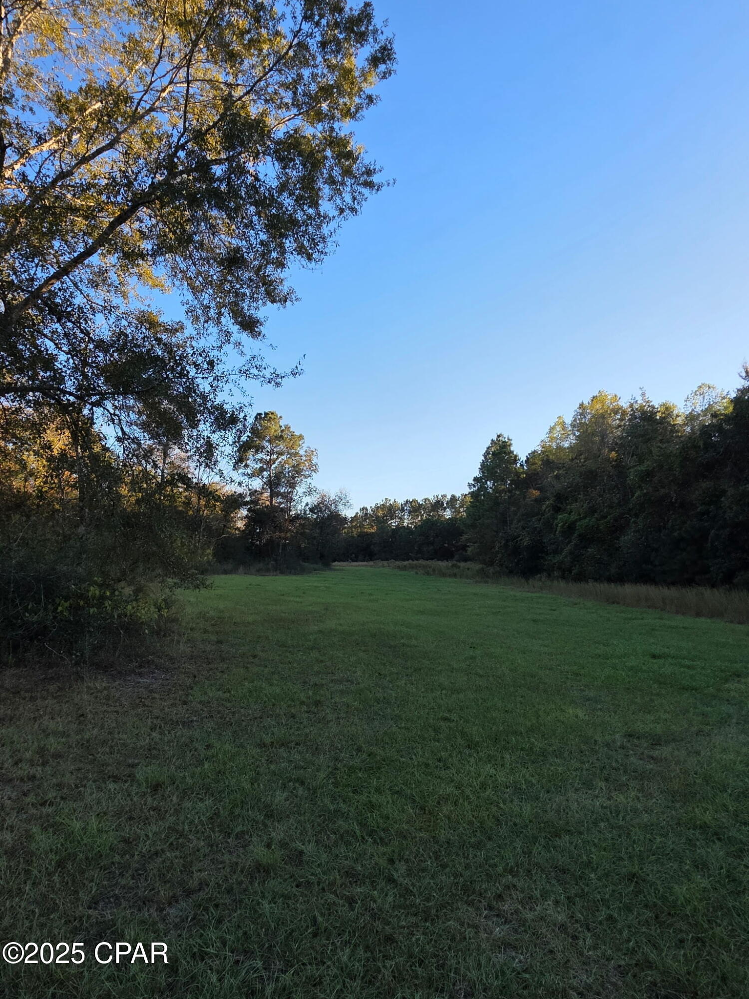 2785 Otter Pond Road Westville, FL 32464 - Photo 4 of 14