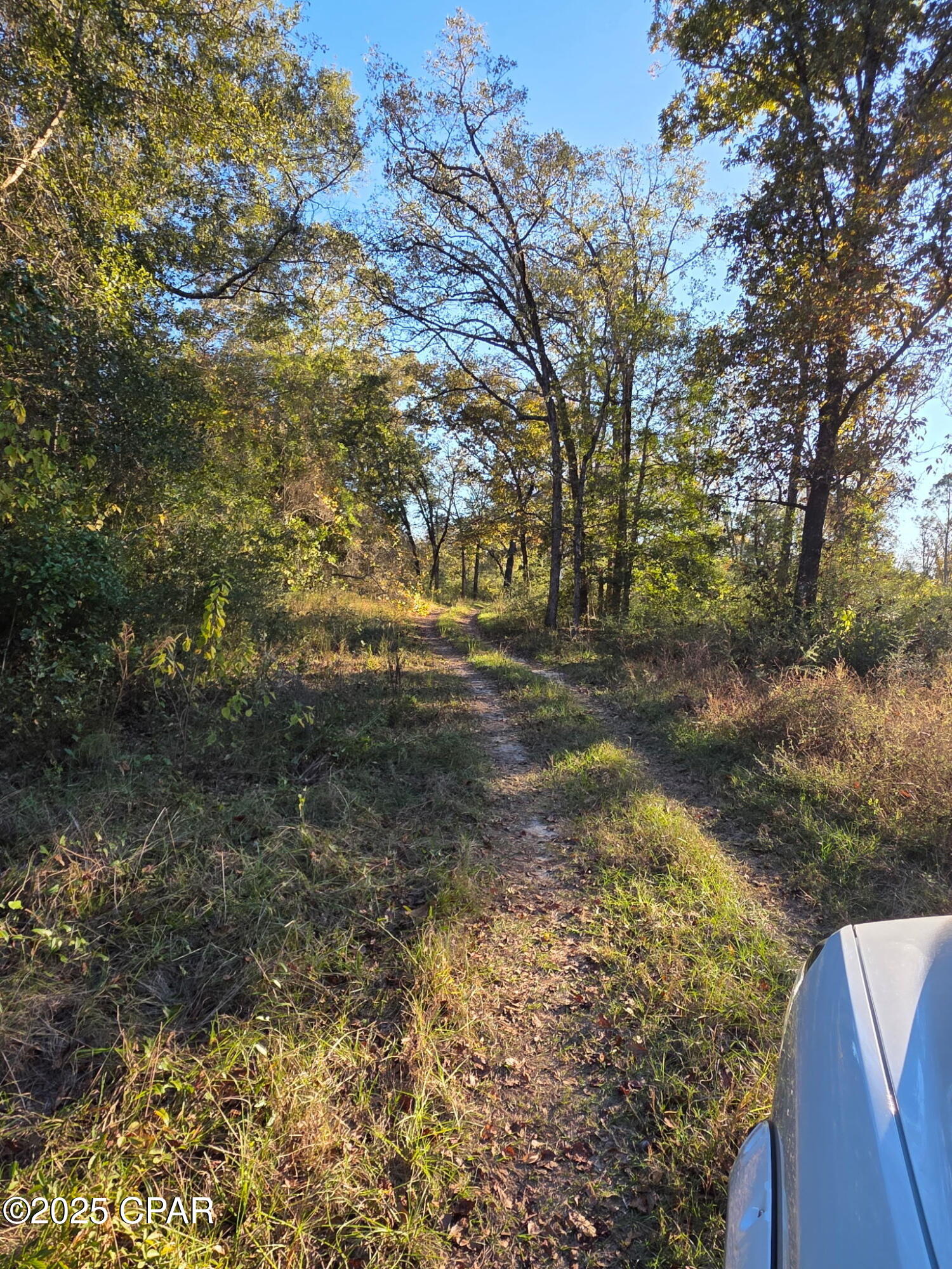 2785 Otter Pond Road Westville, FL 32464 - Photo 9 of 14