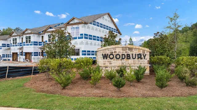 a view of a forest with trees in the background
