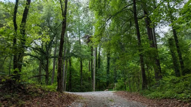 $287,990 | 5975 Skylar Drive, Atlanta, GA 30331