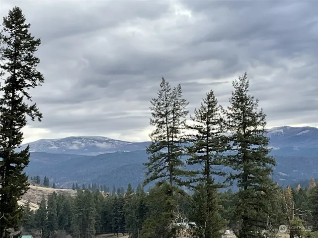 a view of a lake in middle of forest