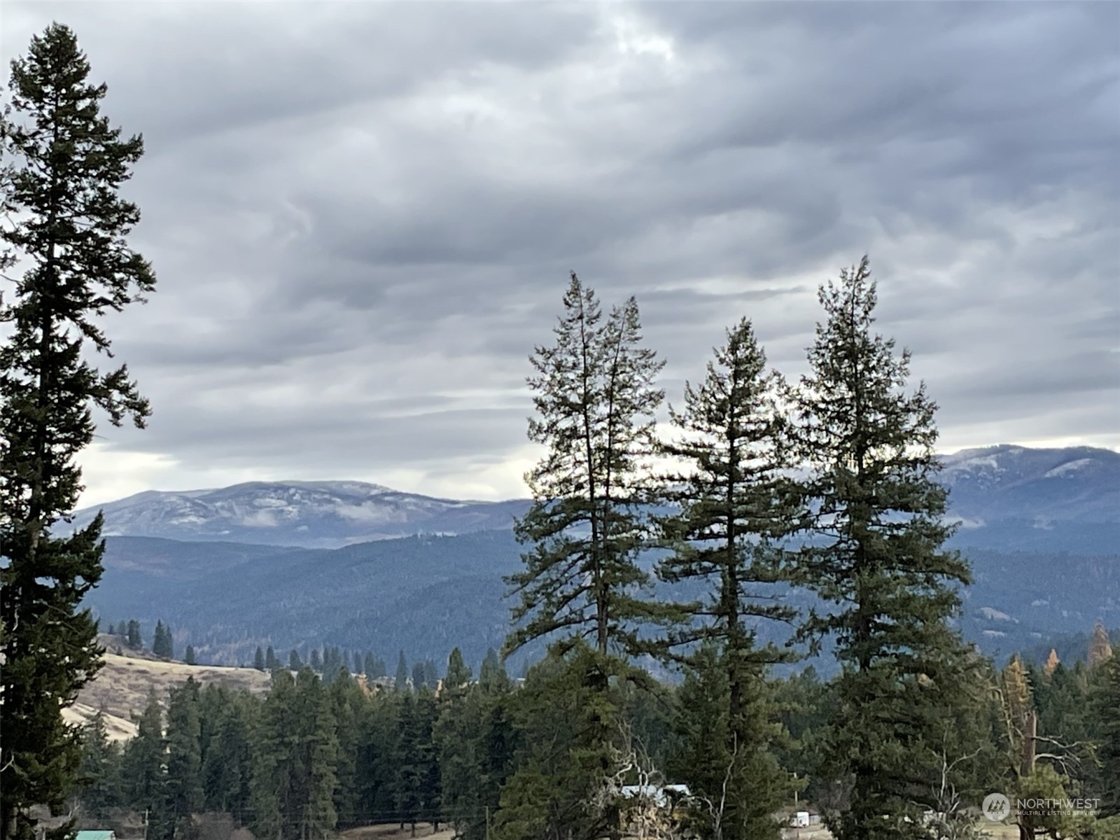a view of a lake in middle of forest