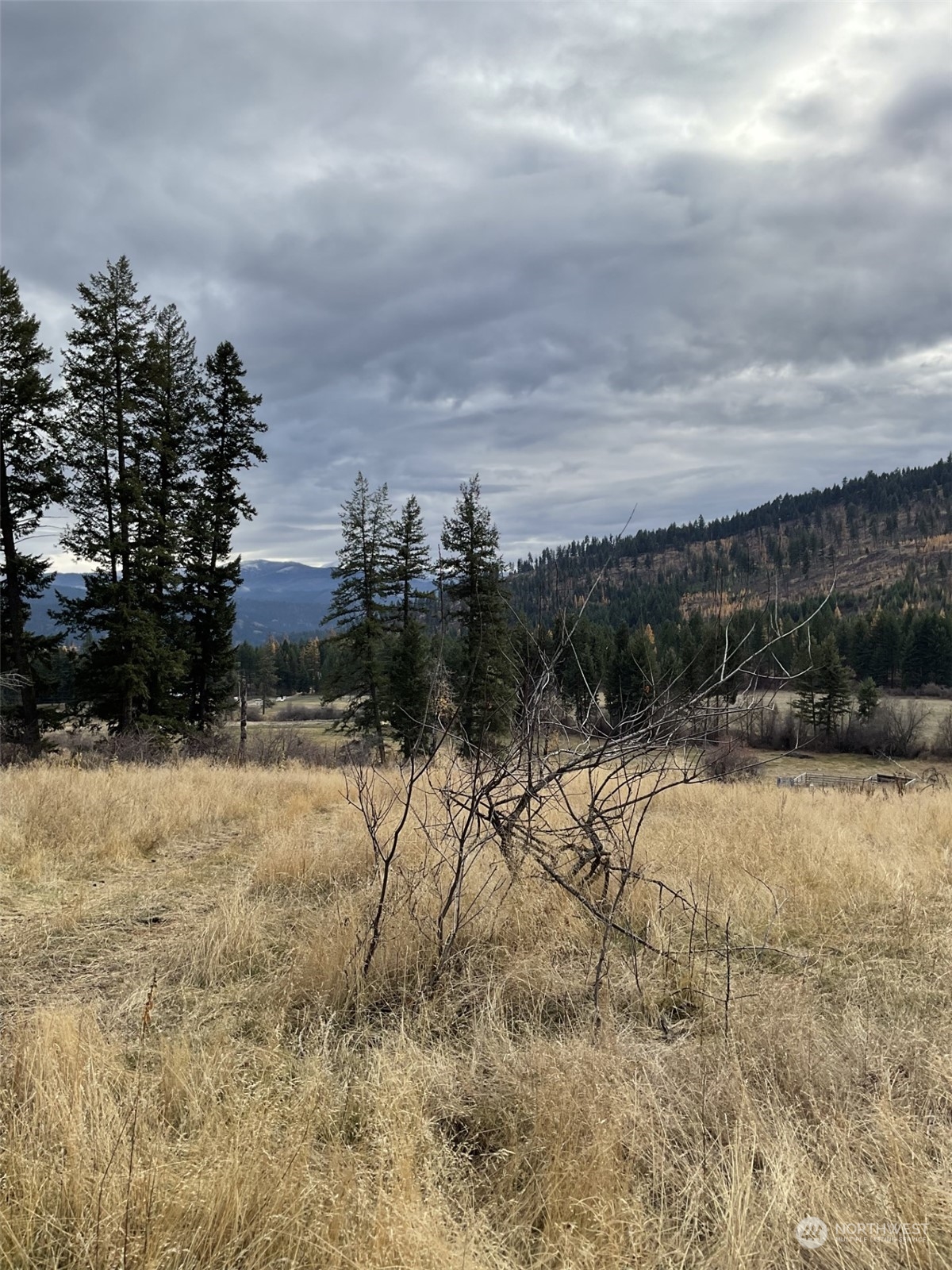 275 Big Goosmus Creek Road Curlew, WA 99118 - Photo 3 of 7 a view of a yard