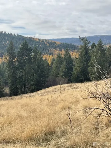 a view of a yard covered with snow