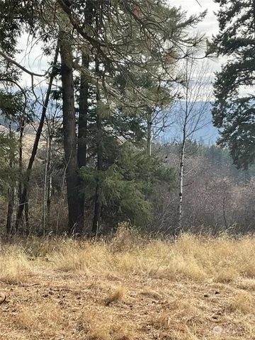 a view of a yard with large trees