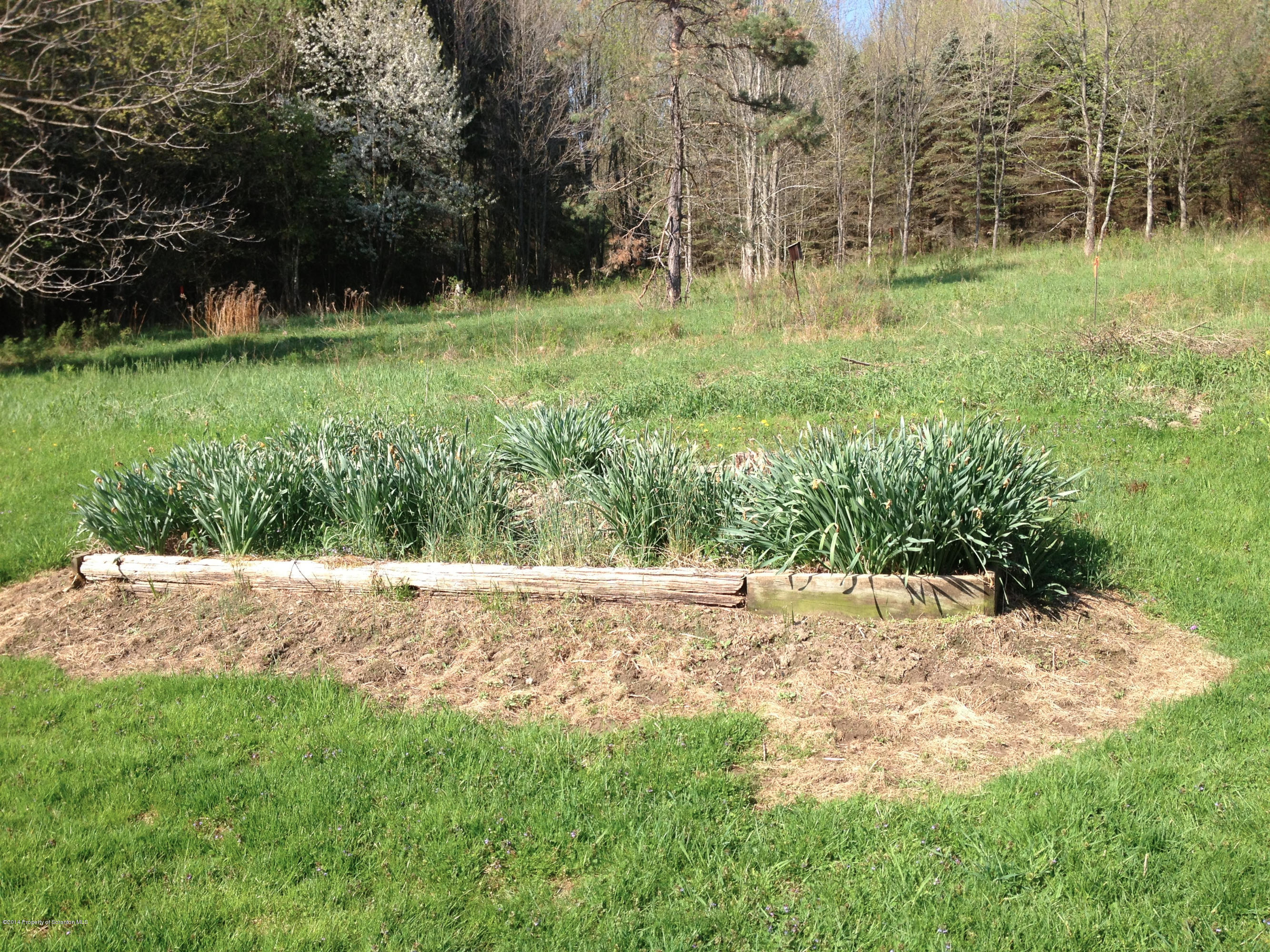 2497 Stanton Road Factoryville, PA 18419 - Photo 2 of 27 Gallery Image 2