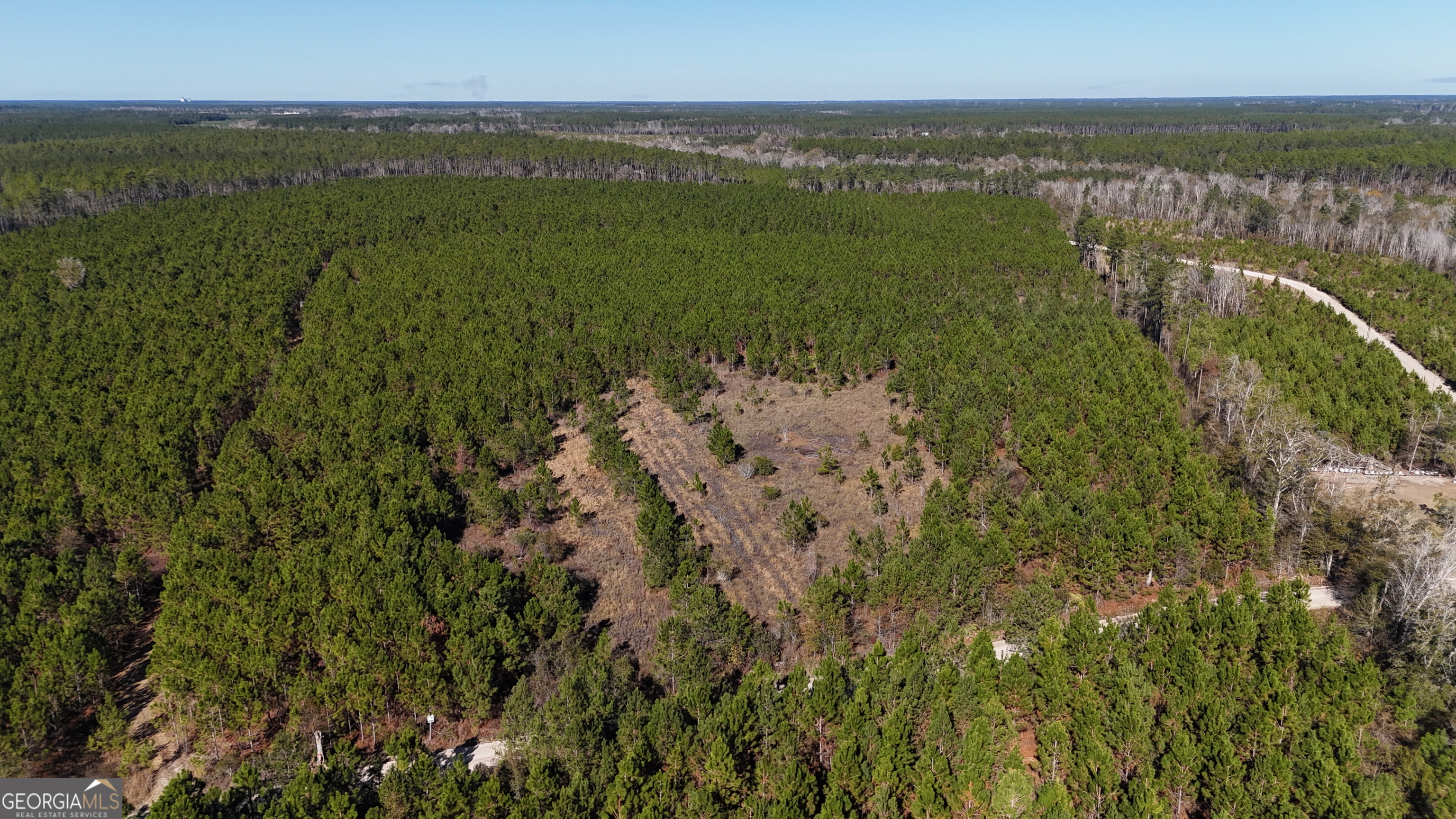 19-ac Owens Road Odum, GA 31555 - Photo 2 of 7 a view of yard with ocean view