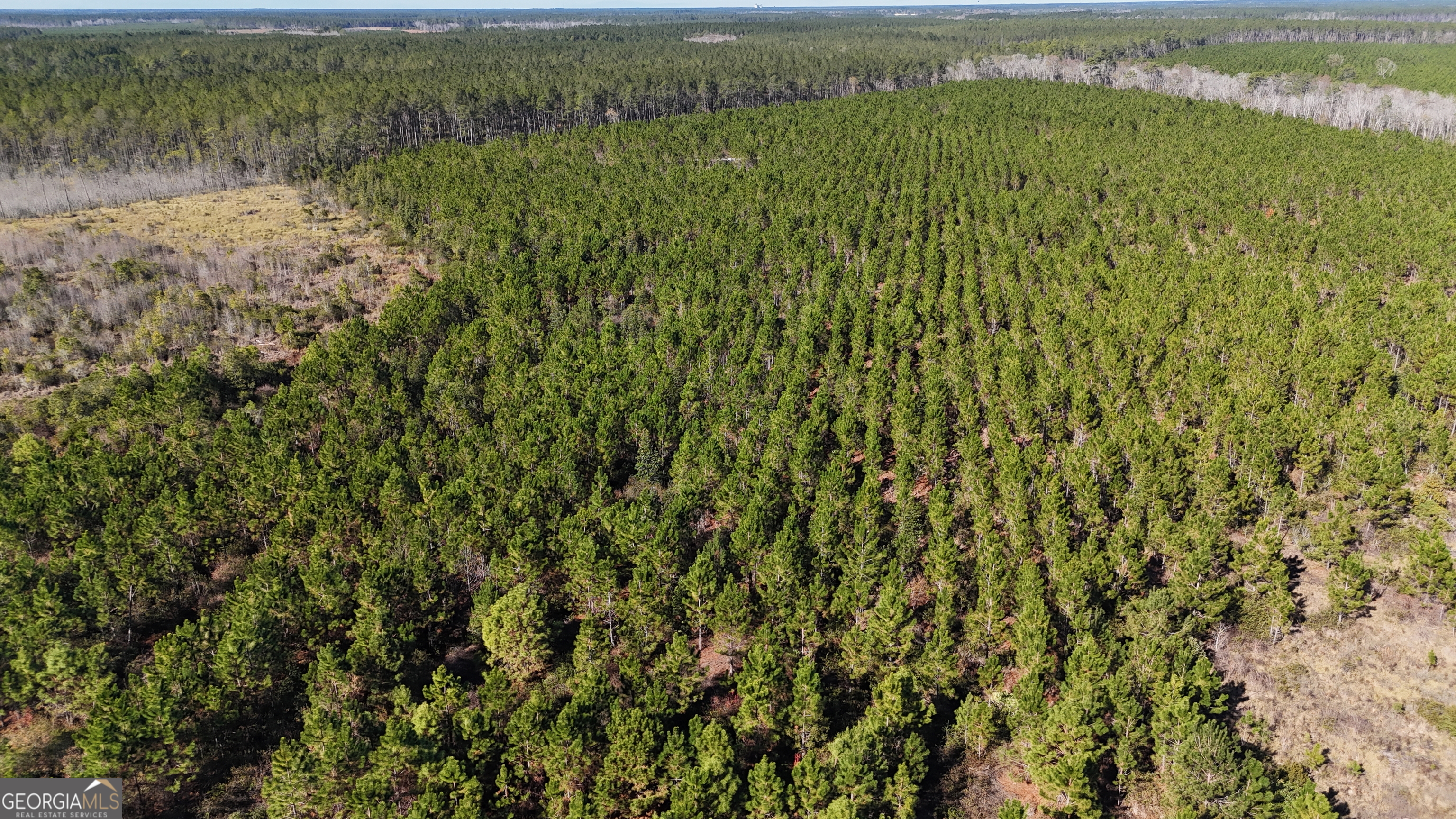 19-ac Owens Road Odum, GA 31555 - Photo 3 of 7 a view of a lush green field