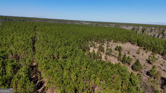 a view of a field with an ocean