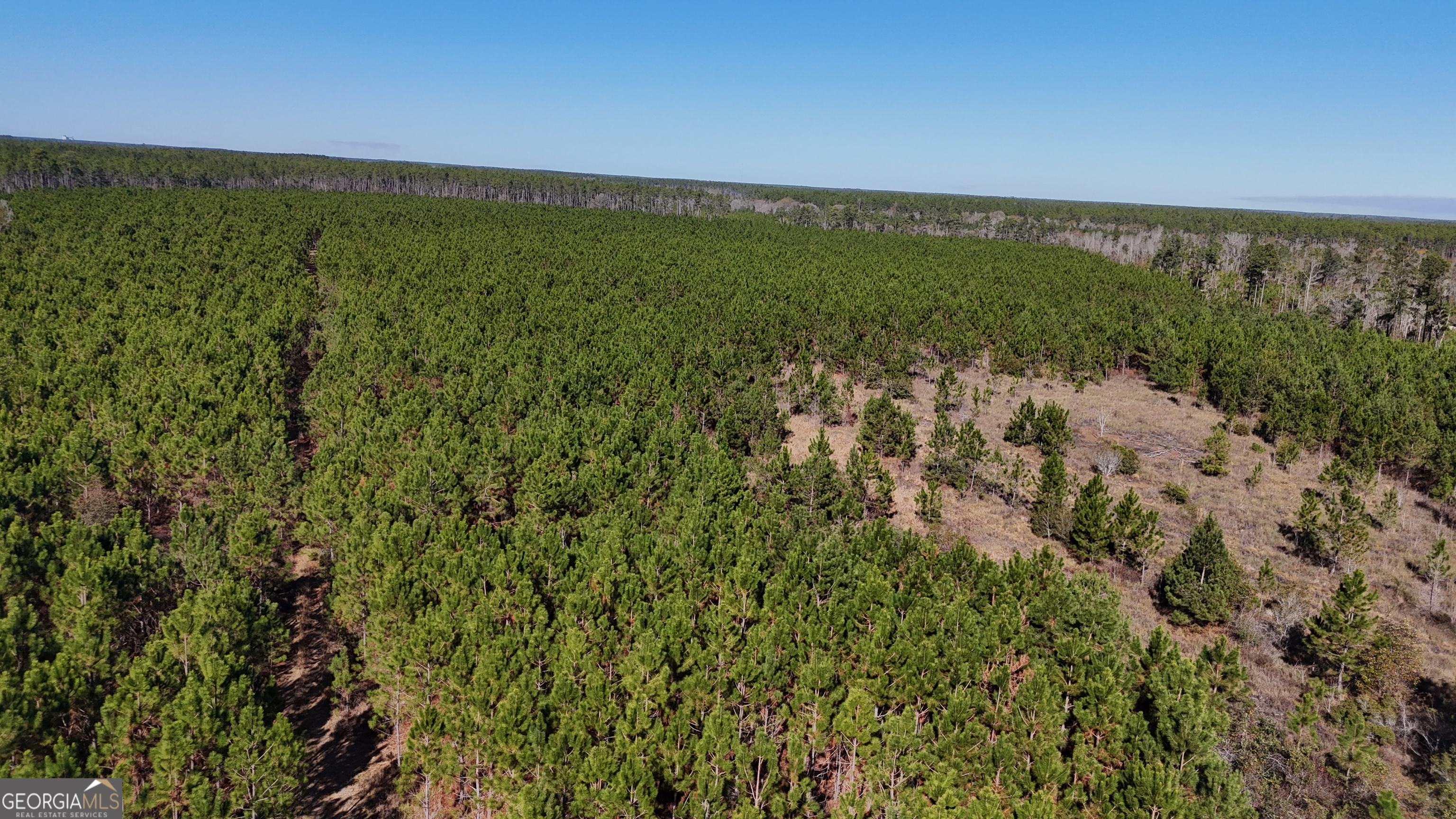 19-ac Owens Road Odum, GA 31555 - Photo 6 of 7 a view of a field with an ocean