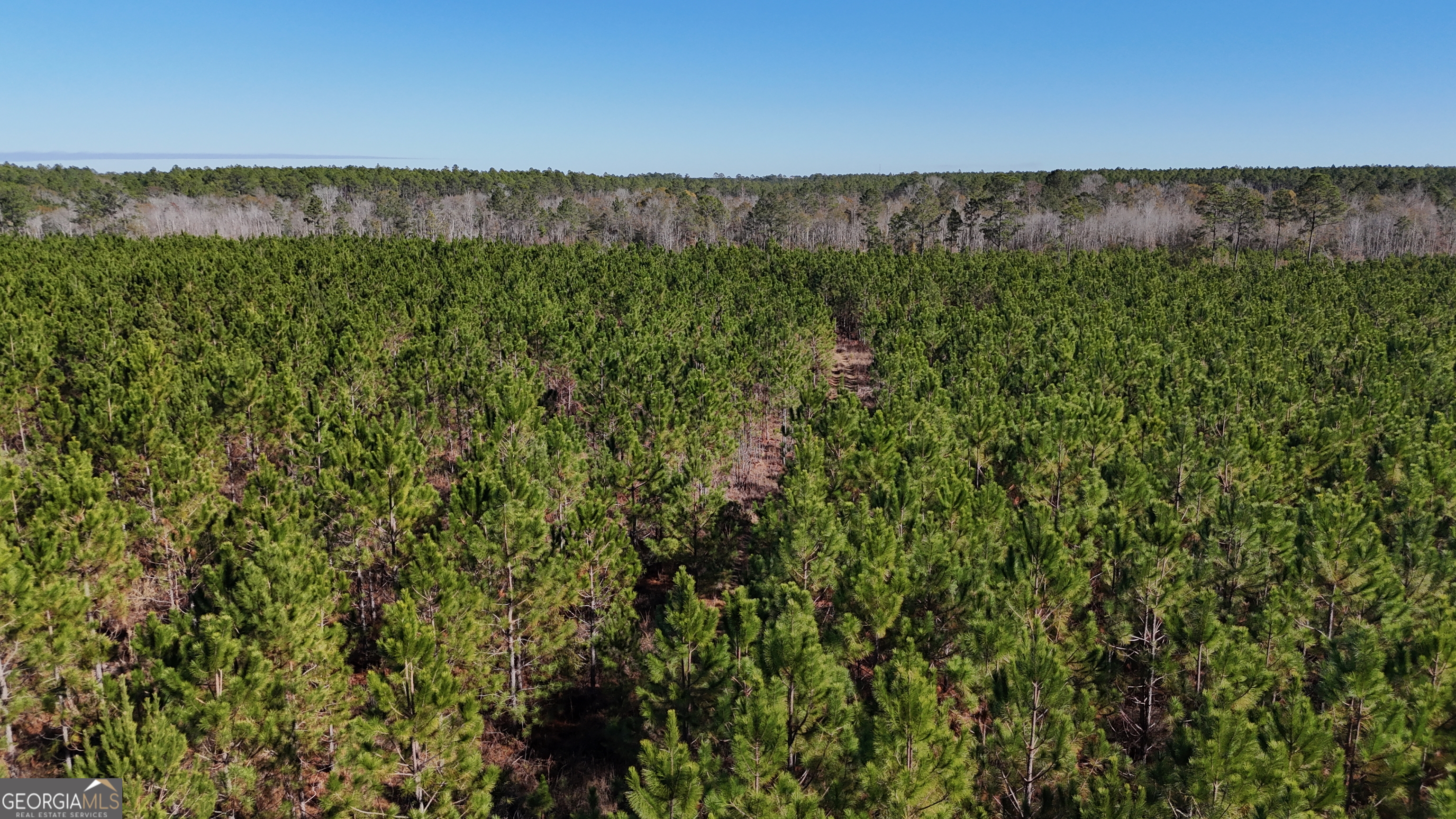 19-ac Owens Road Odum, GA 31555 - Photo 7 of 7 a view of a lush green forest with a lake