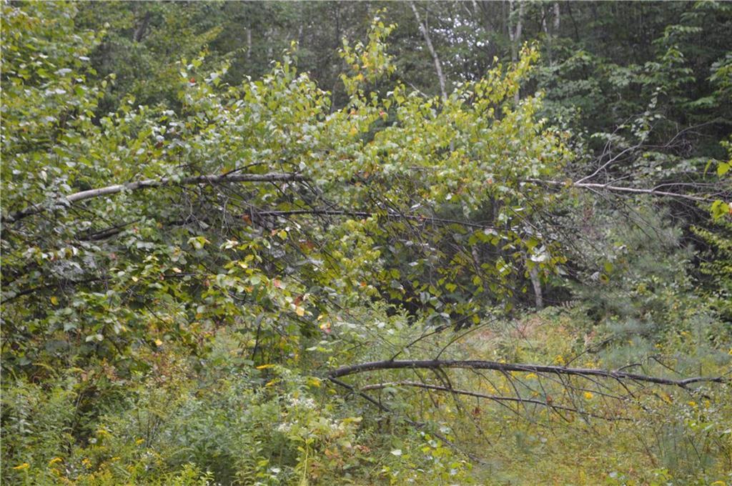 172 Steele Road Auburn, ME 04210 - Photo 6 of 10 Photo