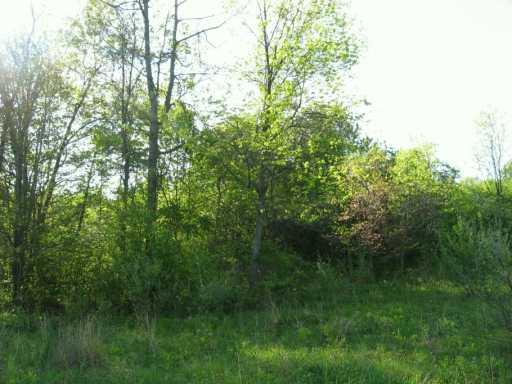Jamison Road Boyers, PA 16020 - Photo 5 of 8 Other.