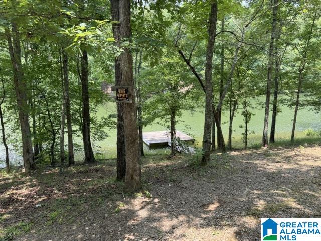 803 County Road Wedowee, AL 36278 - Photo 3 of 6 Gallery Image 3
