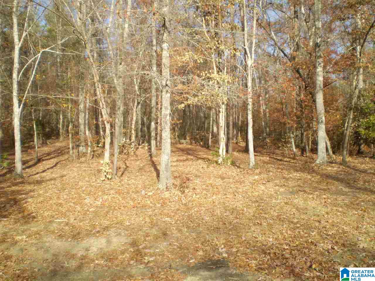172 Waldrop Road, Unit 9 Ashville, AL 35953 - Photo 34 of 36