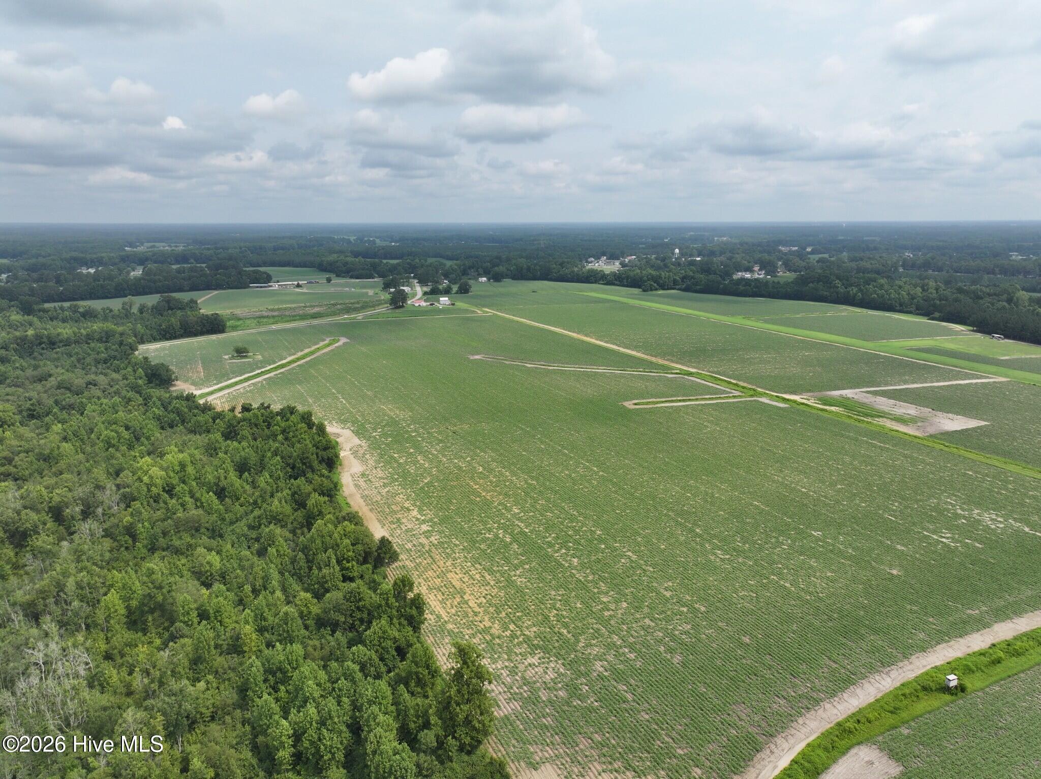 0 Huckleberry Road Lucama, NC 27851 - Photo 7 of 18 Gallery Image 7