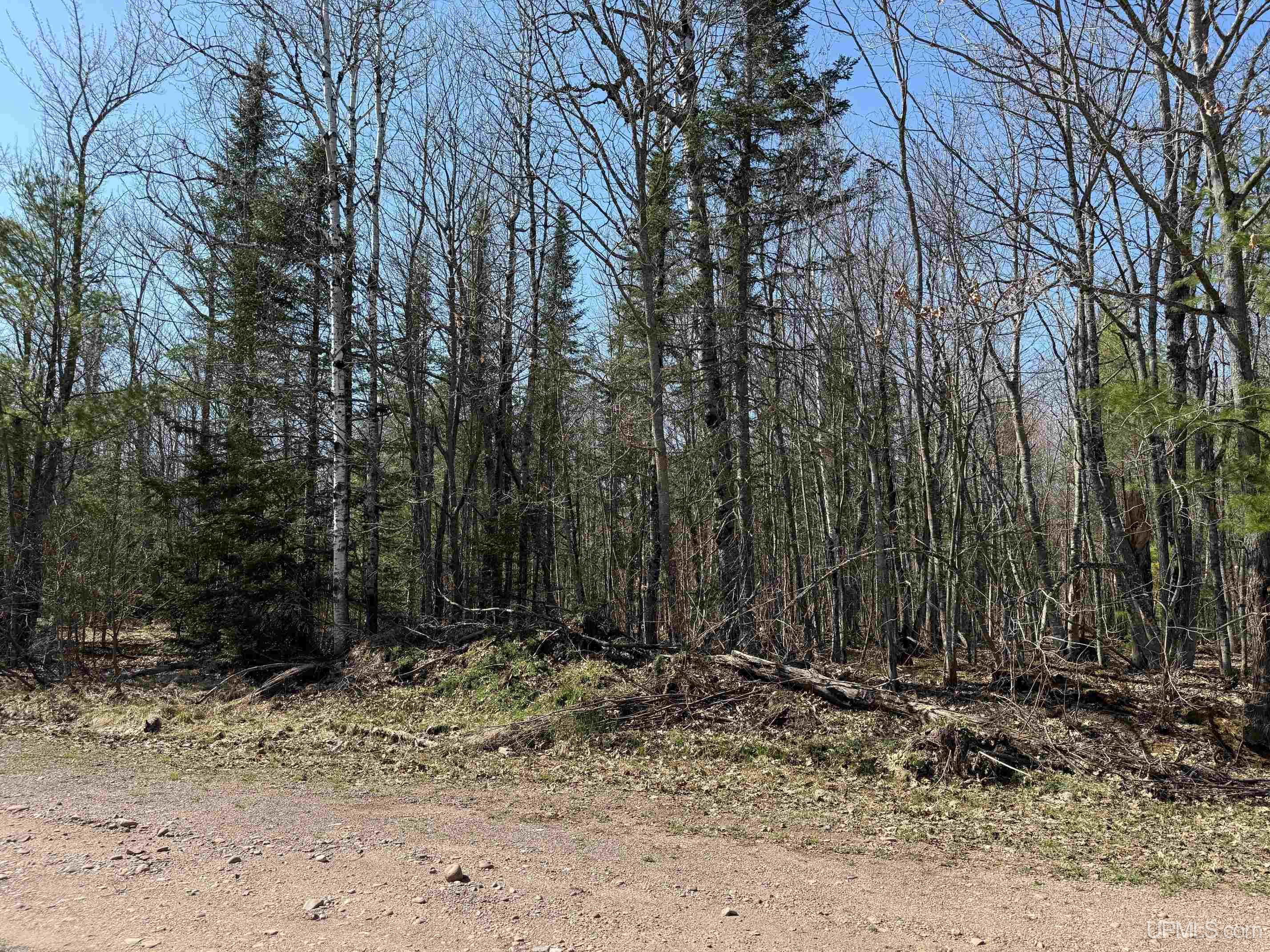 Tbdi Winona Road Toivola, MI 49965 - Photo 16 of 18