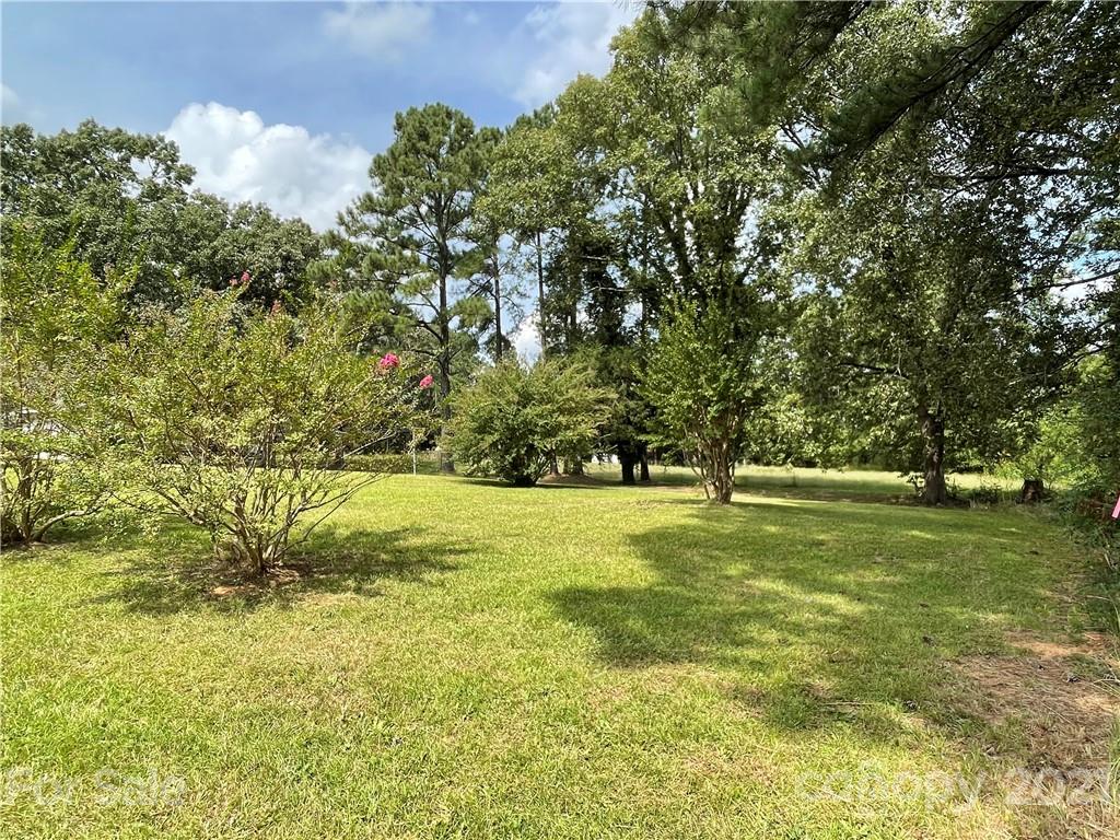 1541 Hardin Strait Road Chester, SC 29706 - Photo 3 of 16 a view of yard with green space