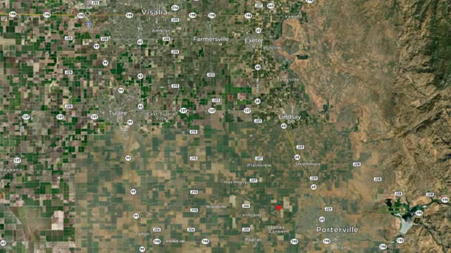 a close up of a tree