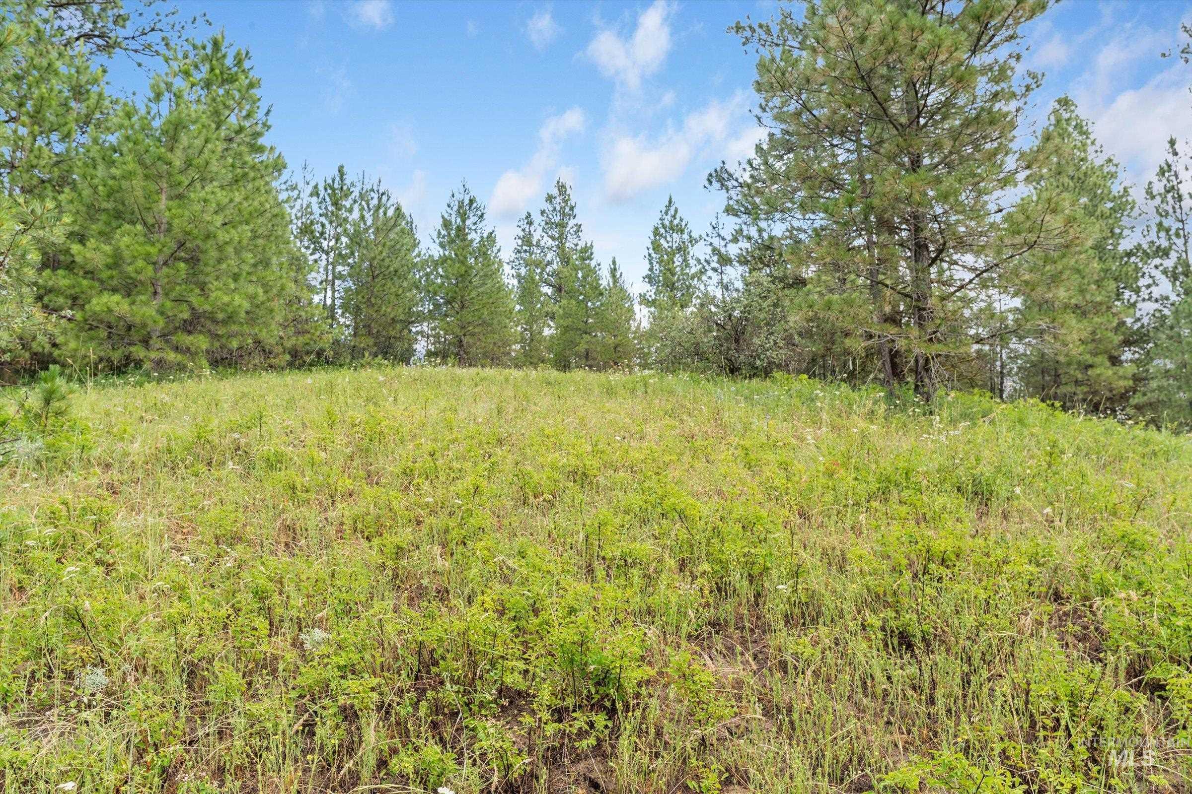 Tbd Sunset Trail Banks, ID 83602 - Photo 23 of 50