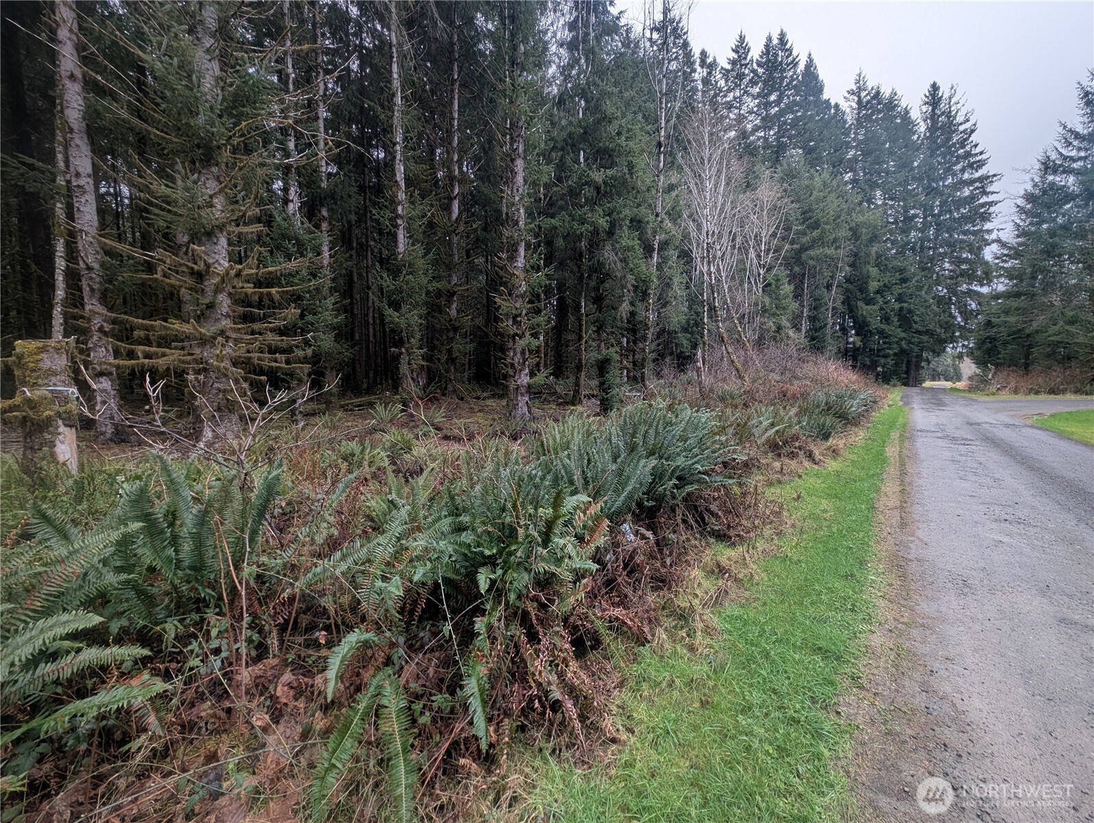 9991 Quillayute Road Forks, WA 98331 - Photo 4 of 40 Gallery Image 4