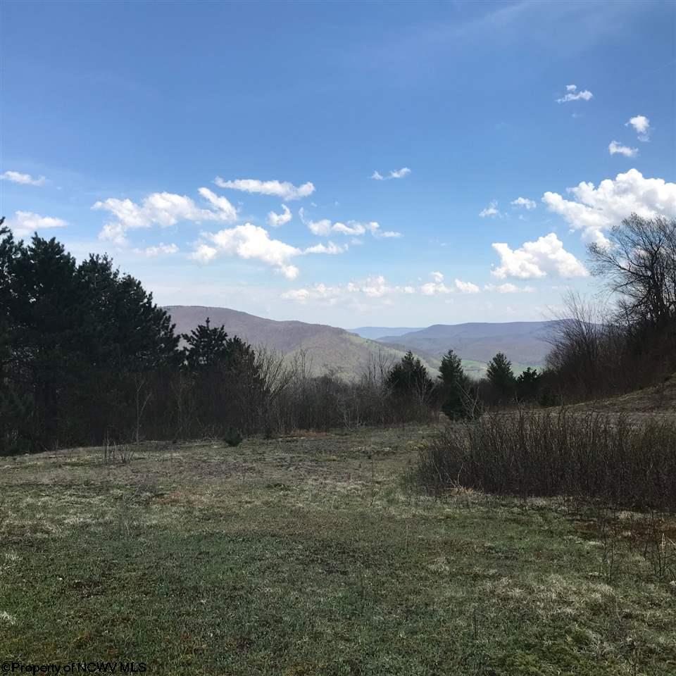 0 Haines Knob Road Harman, WV 26270 - Photo 2 of 20 Gallery Image 2