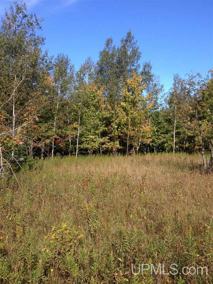 Tbd Dover Road Calumet, MI 49934 - Photo 6 of 6