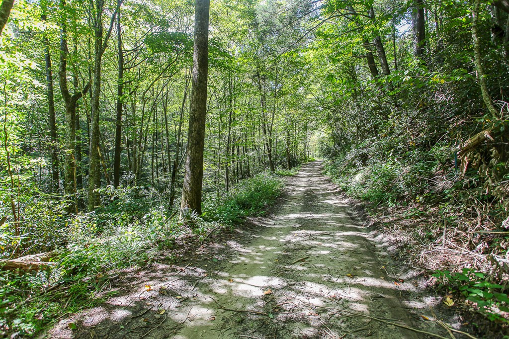 9765 Little Snowbird Road Robbinsville, NC 28771 - Photo 10 of 34