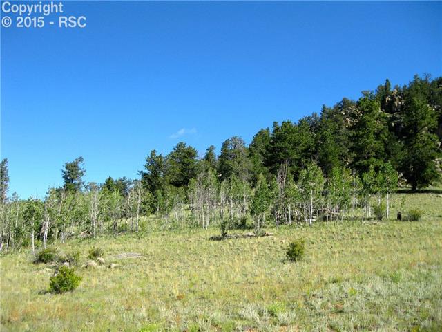 7877 Boulder Road Lake George, CO 80827 - Photo 12 of 25 Gallery Image 12