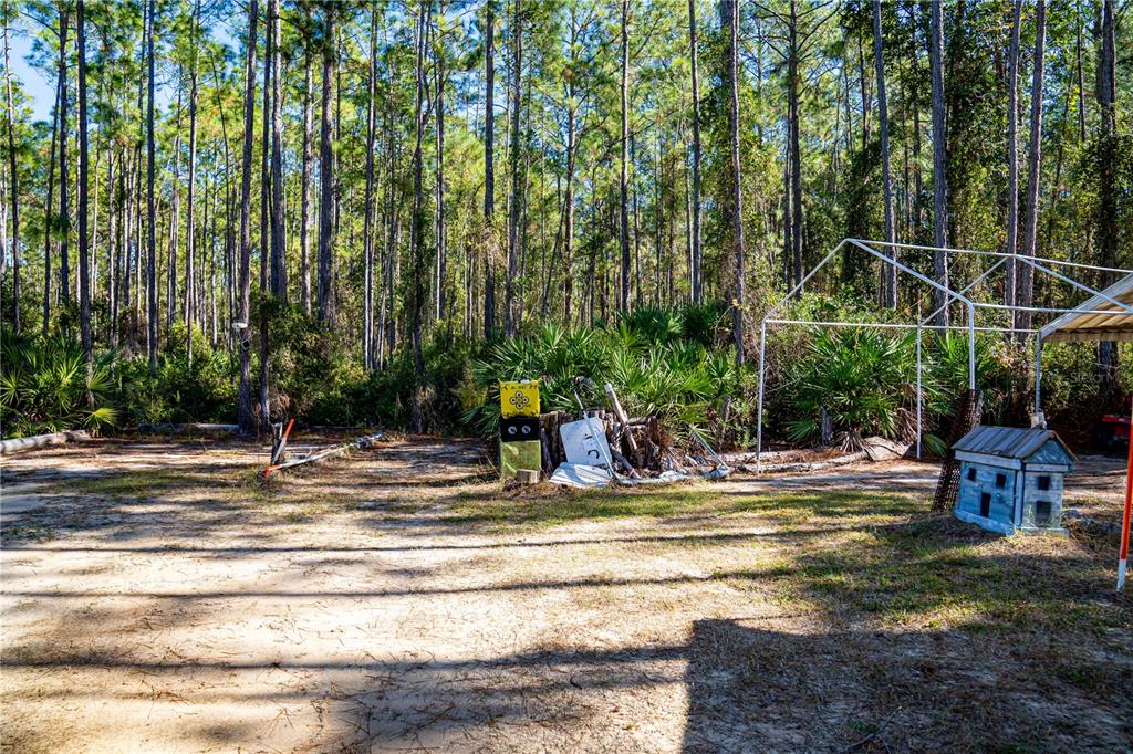 132 Nutmeg Trail Interlachen, FL 32148 - Photo 58 of 100