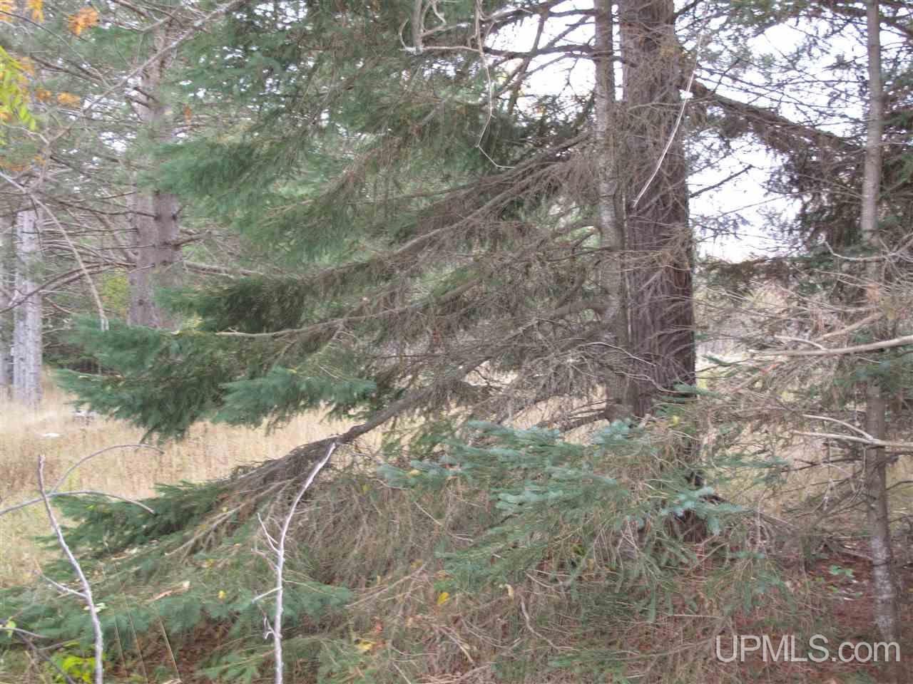 21851 Ridge Road Grand Marais, MI 49839 - Photo 20 of 29