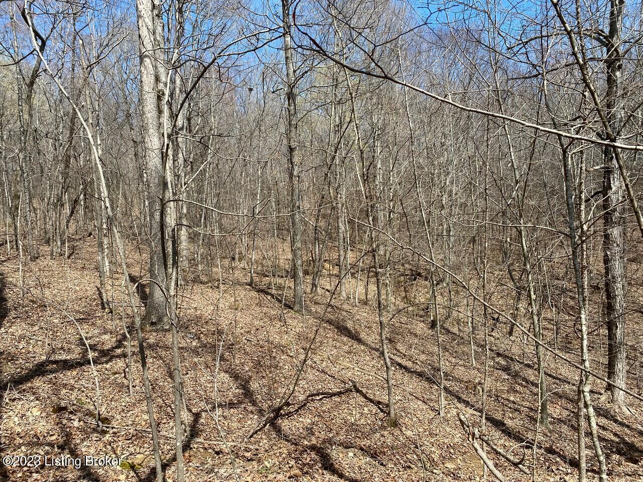 5970 Rabbit Flat Road Caneyville, KY 42721 - Photo 5 of 15 14.6 Acres3