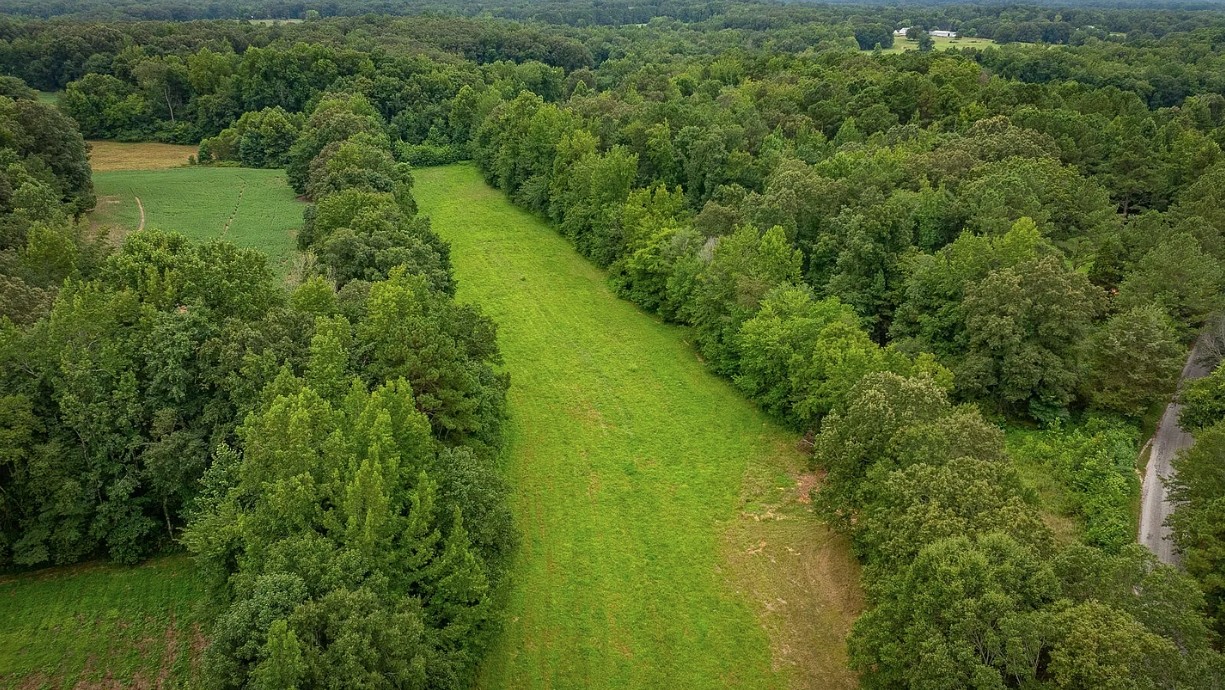 0 Mebane Cemetery Road Huntingdon, TN 38344 - Photo 9 of 14 a view of a forest with a lake