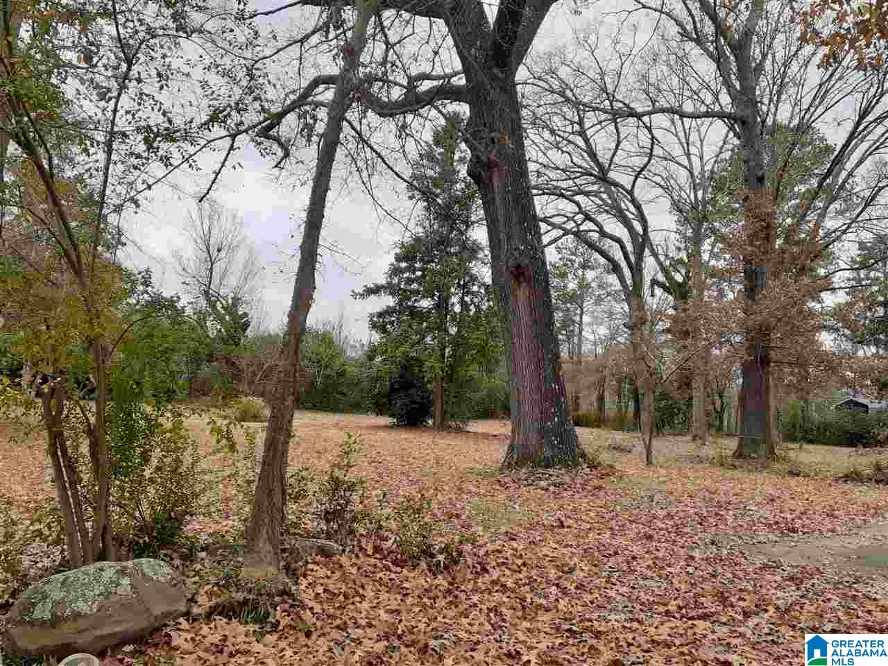125 Handley Road, Unit 1 Gardendale, AL 35071 - Photo 5 of 5
